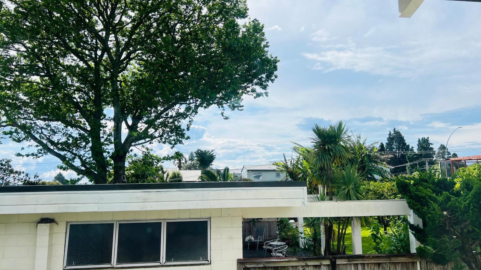18Th Avenue Thermal Motel Tauranga Luaran gambar